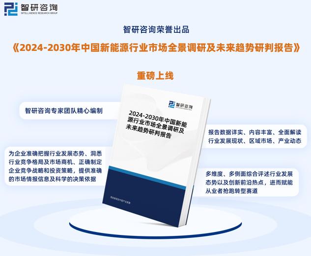 新澳2024年正版資料,標(biāo)準(zhǔn)執(zhí)行具體評價_套件版7.666